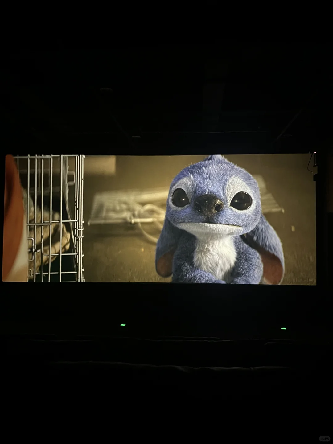 🎬电影 • 星际宝贝史迪奇