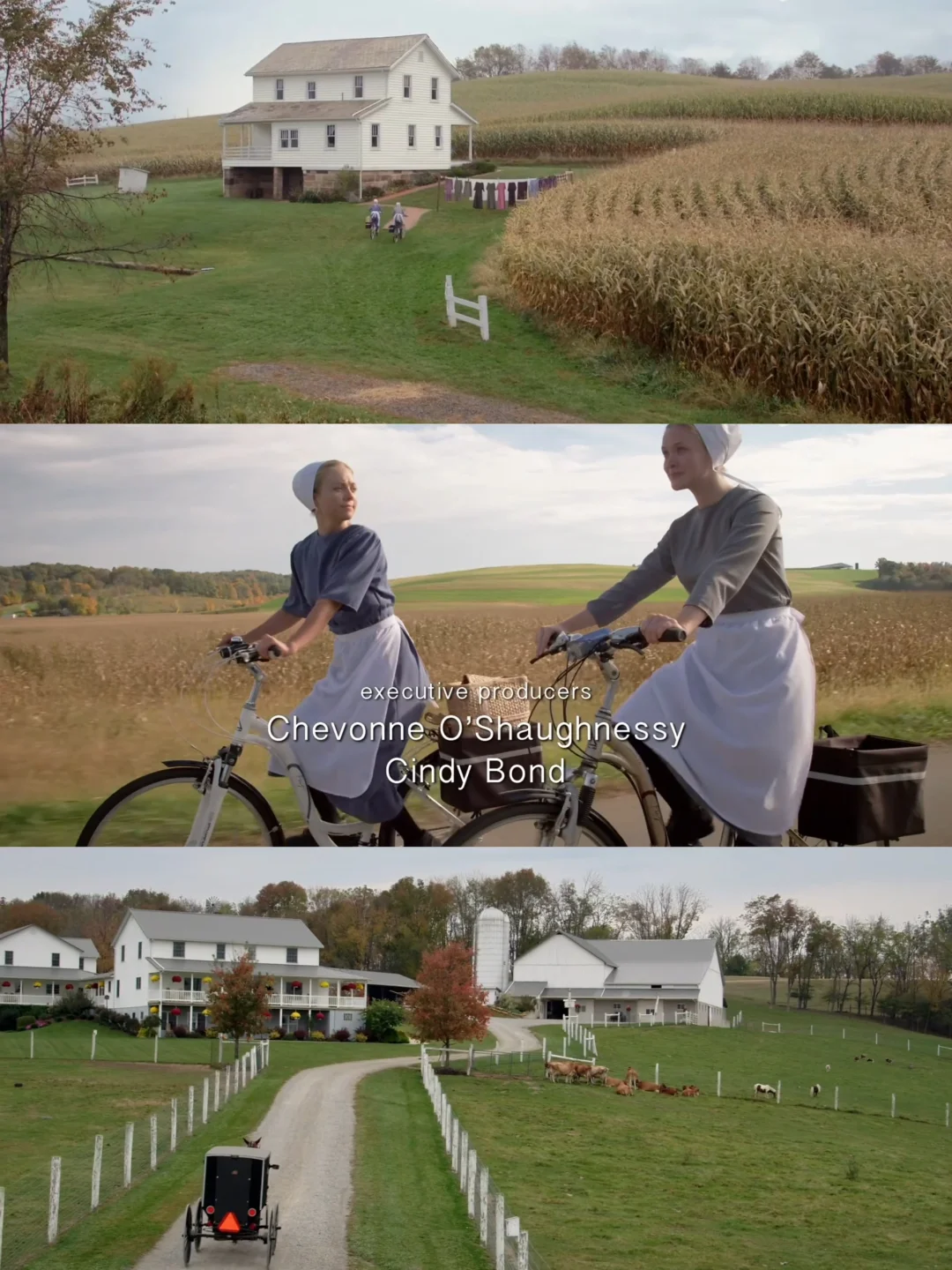 😭最爱的人生电影,没有之一‼️