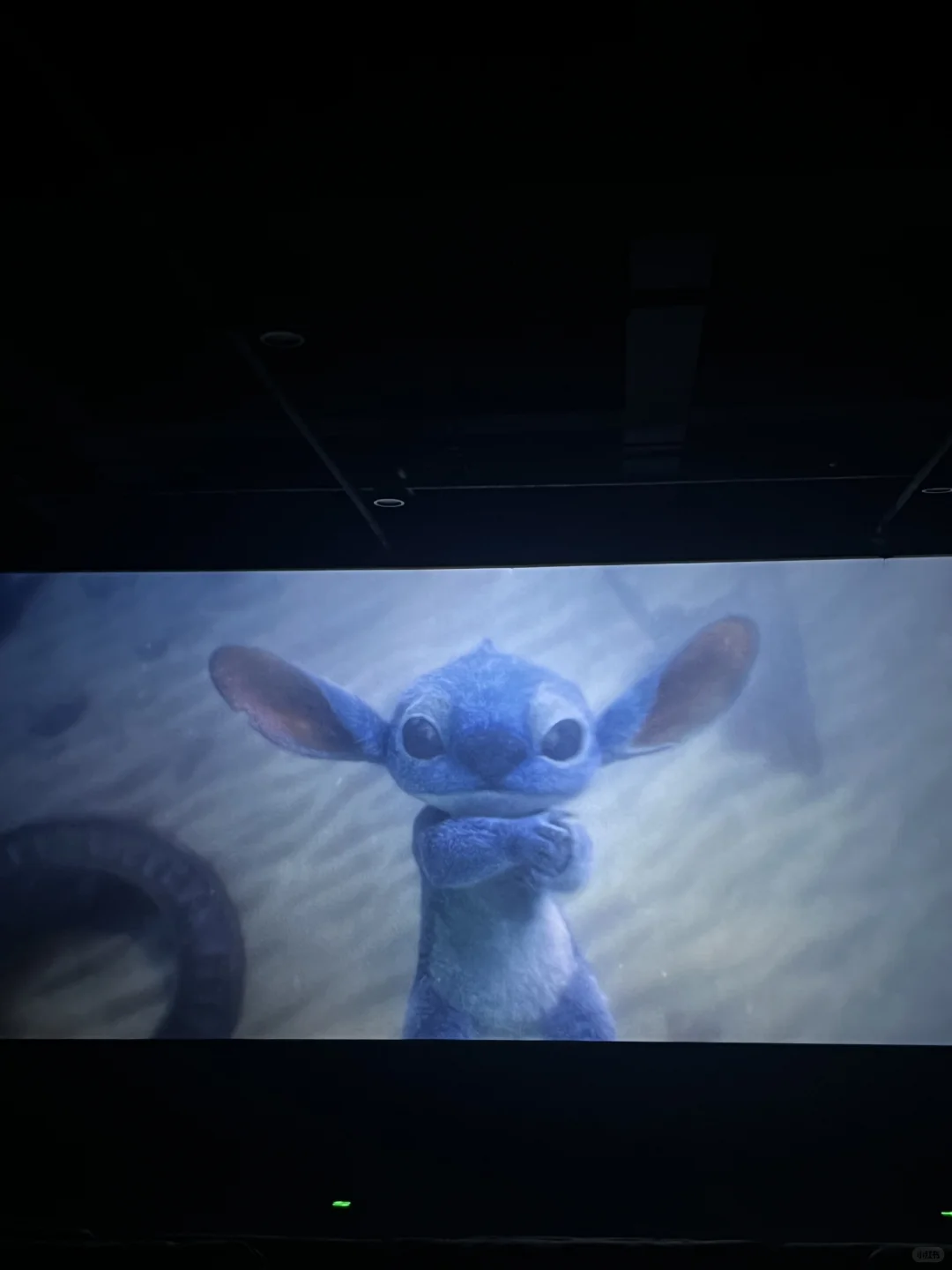 🎬电影 • 星际宝贝史迪奇