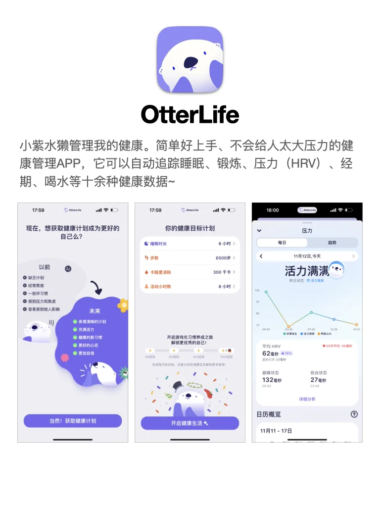 被一只鸟、一只熊、一只水獭支配的一生😿