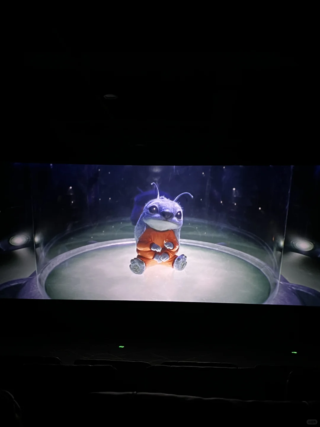 🎬电影 • 星际宝贝史迪奇