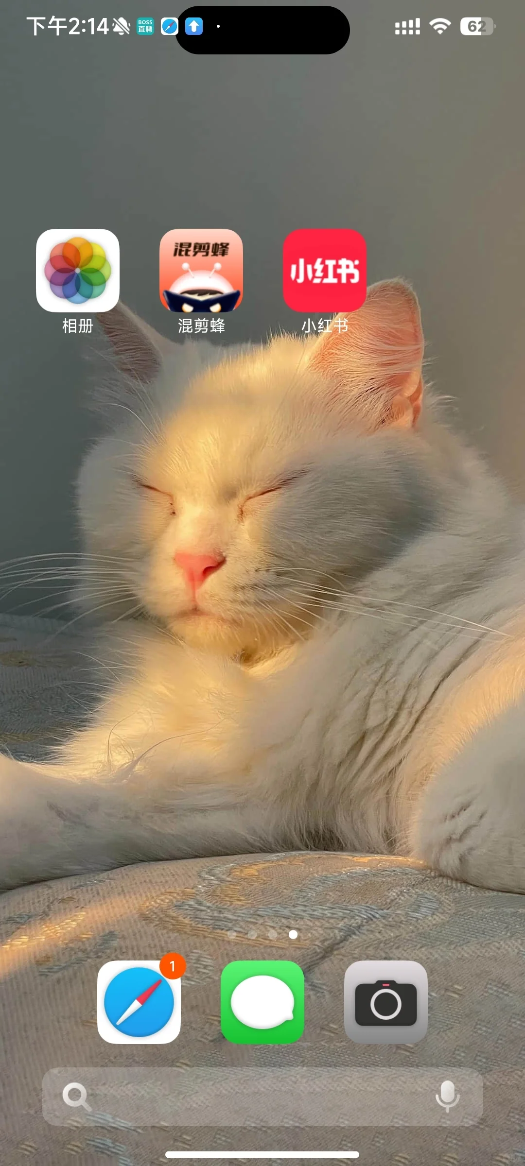 好家伙，怎么没能让我早点发现这个APP!!