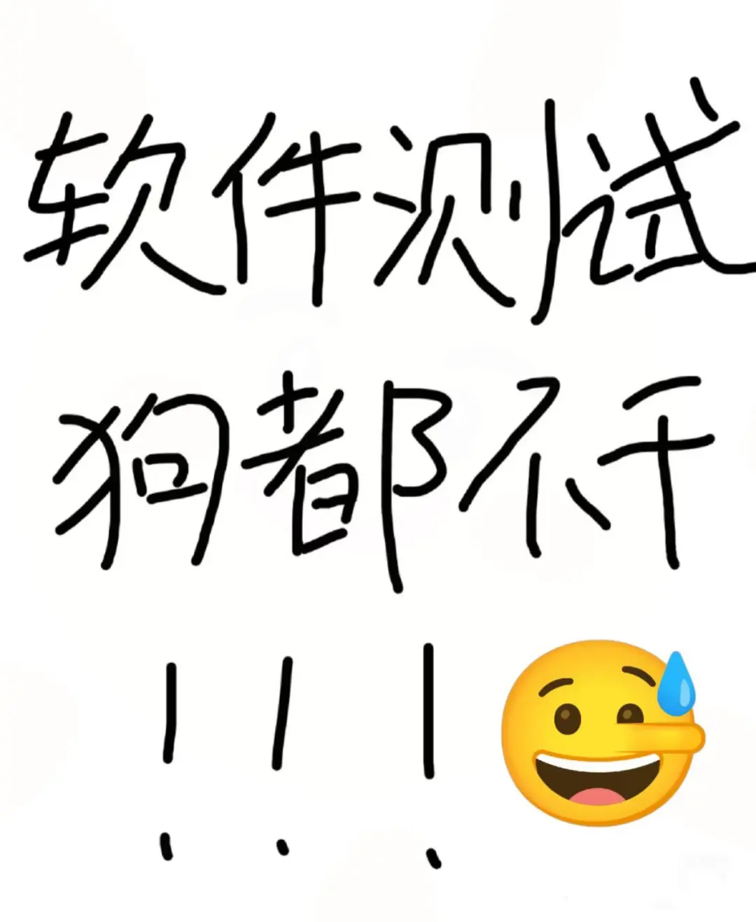干！干的就是软件测试