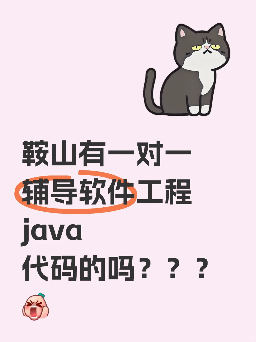 鞍山有一对一辅导软件工程java代码的吗