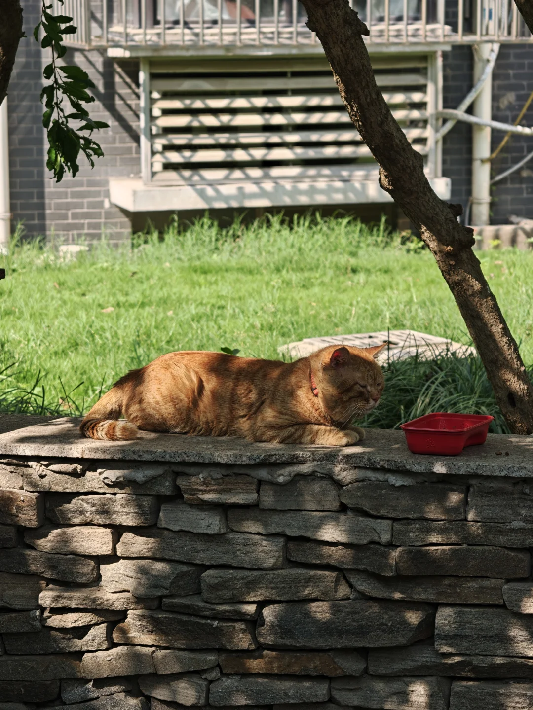 Noteshelf 3 | 安卓最接近ipad的手写软件