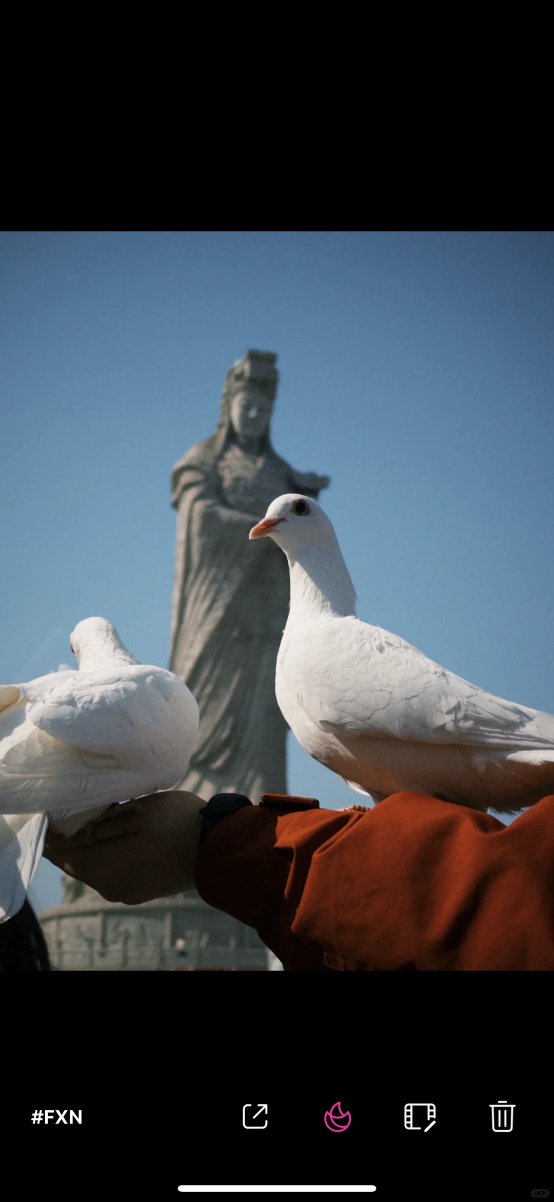 J人的手机一定是最重要的精神阿贝贝