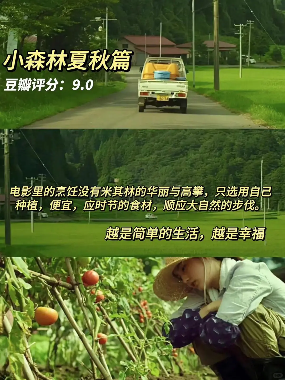 超适合睡前宅家放松看的🔟部解压治愈电影