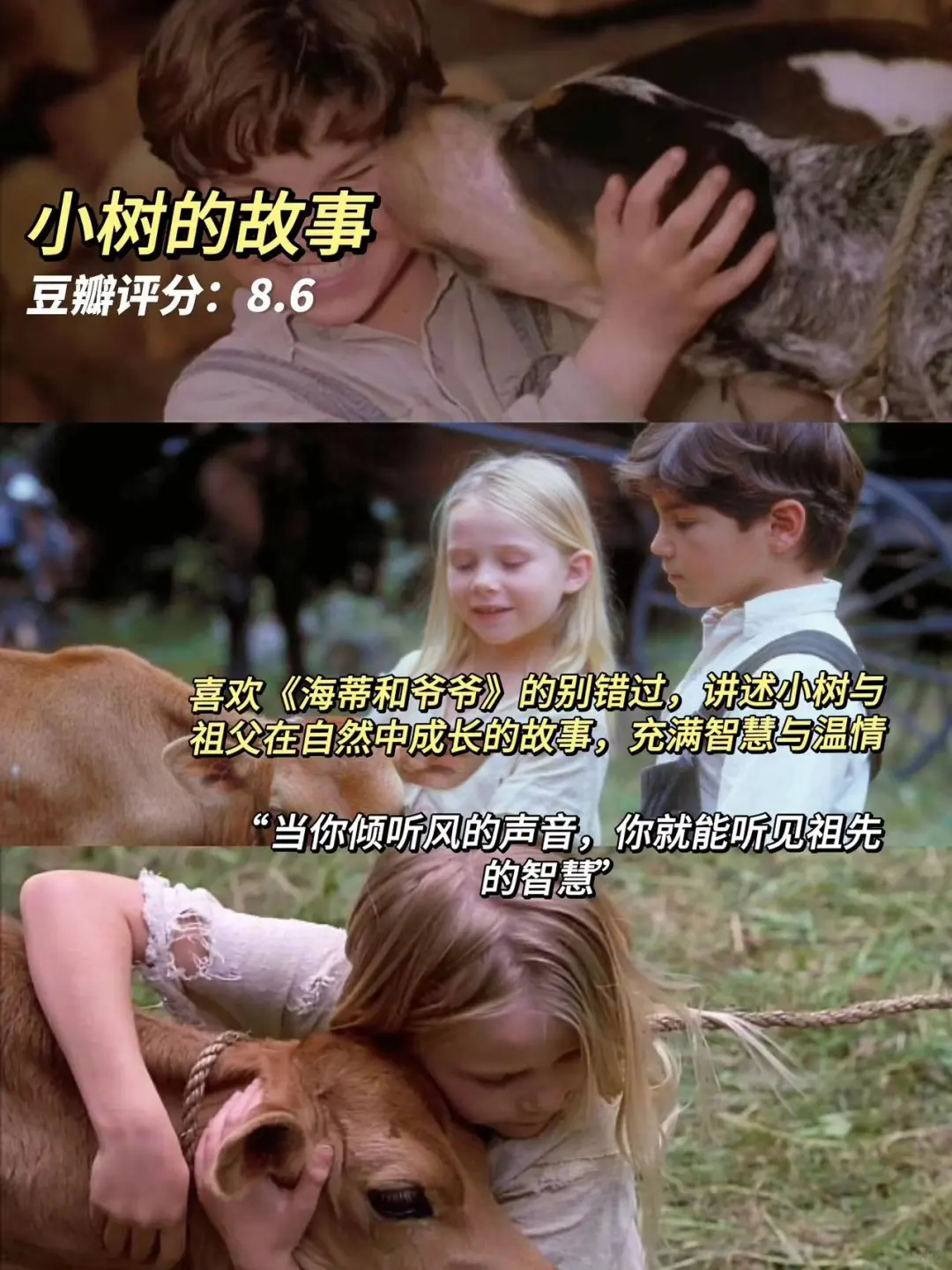 超适合睡前宅家放松看的🔟部解压治愈电影