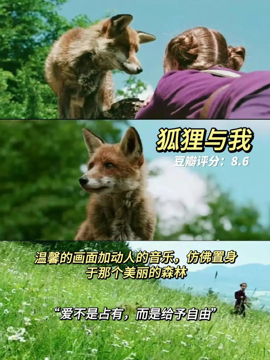 超适合睡前宅家放松看的🔟部解压治愈电影