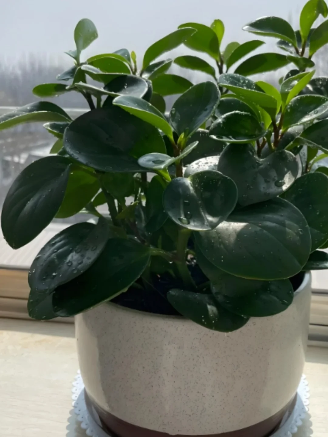 在北京，花六七百，上了一套用友软件