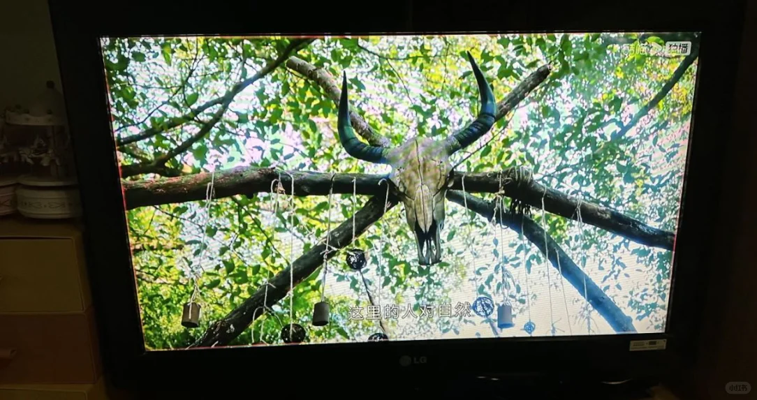 懒人必备！天猫魔盒8