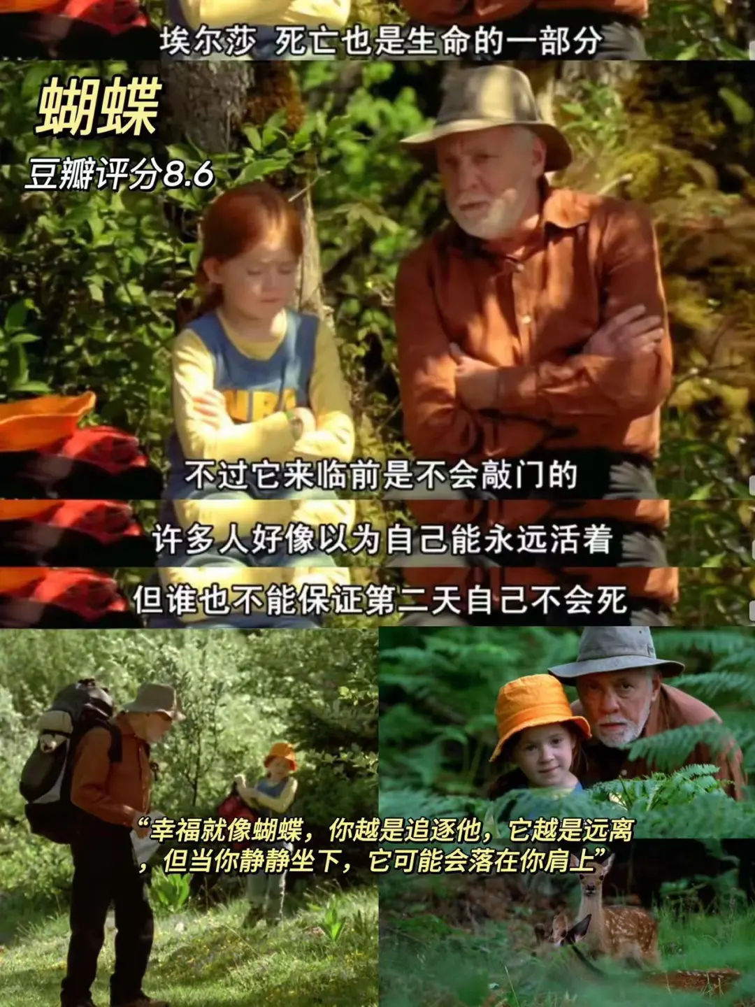 超适合睡前宅家放松看的🔟部解压治愈电影