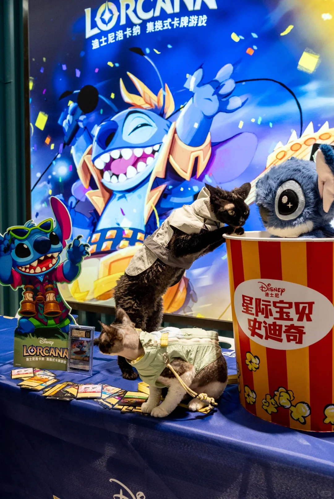 🍿TA们也去看电影啦！蓝色小狗萌翻影院！