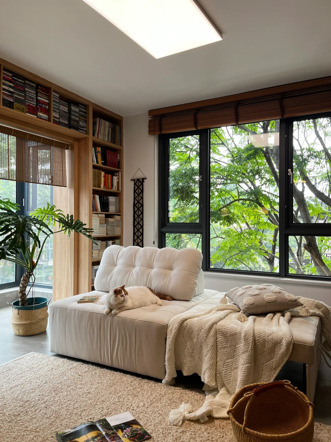 这个书房，让我认识了六万多个新朋友