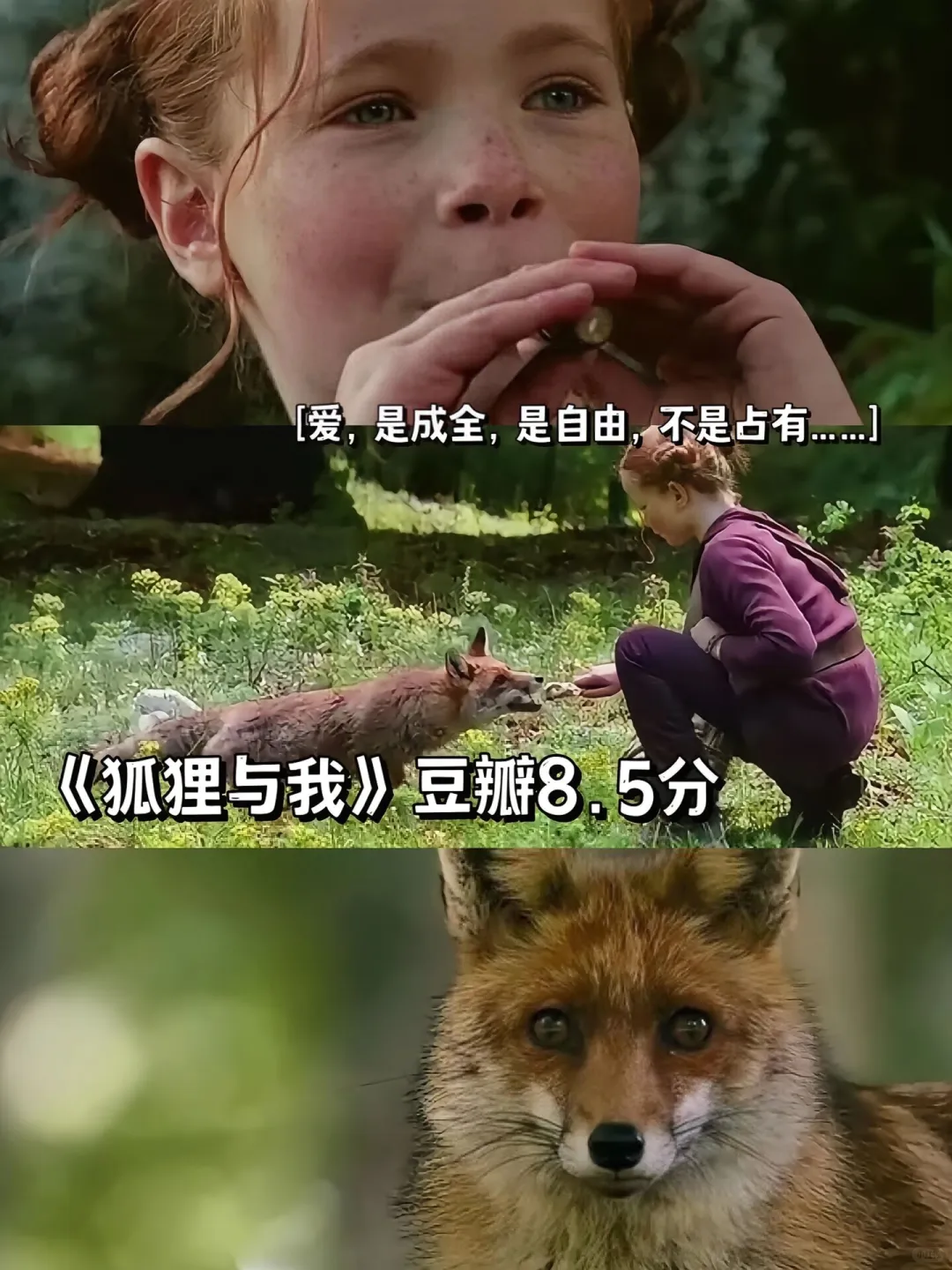 压力大的姐妹们、建议去看这9部电影