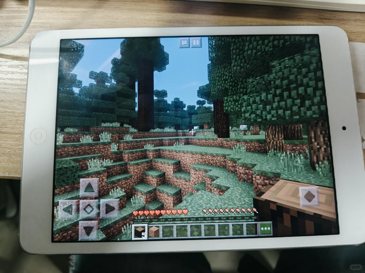 一百多的娱乐板！ iPadmini2在2025还能用？