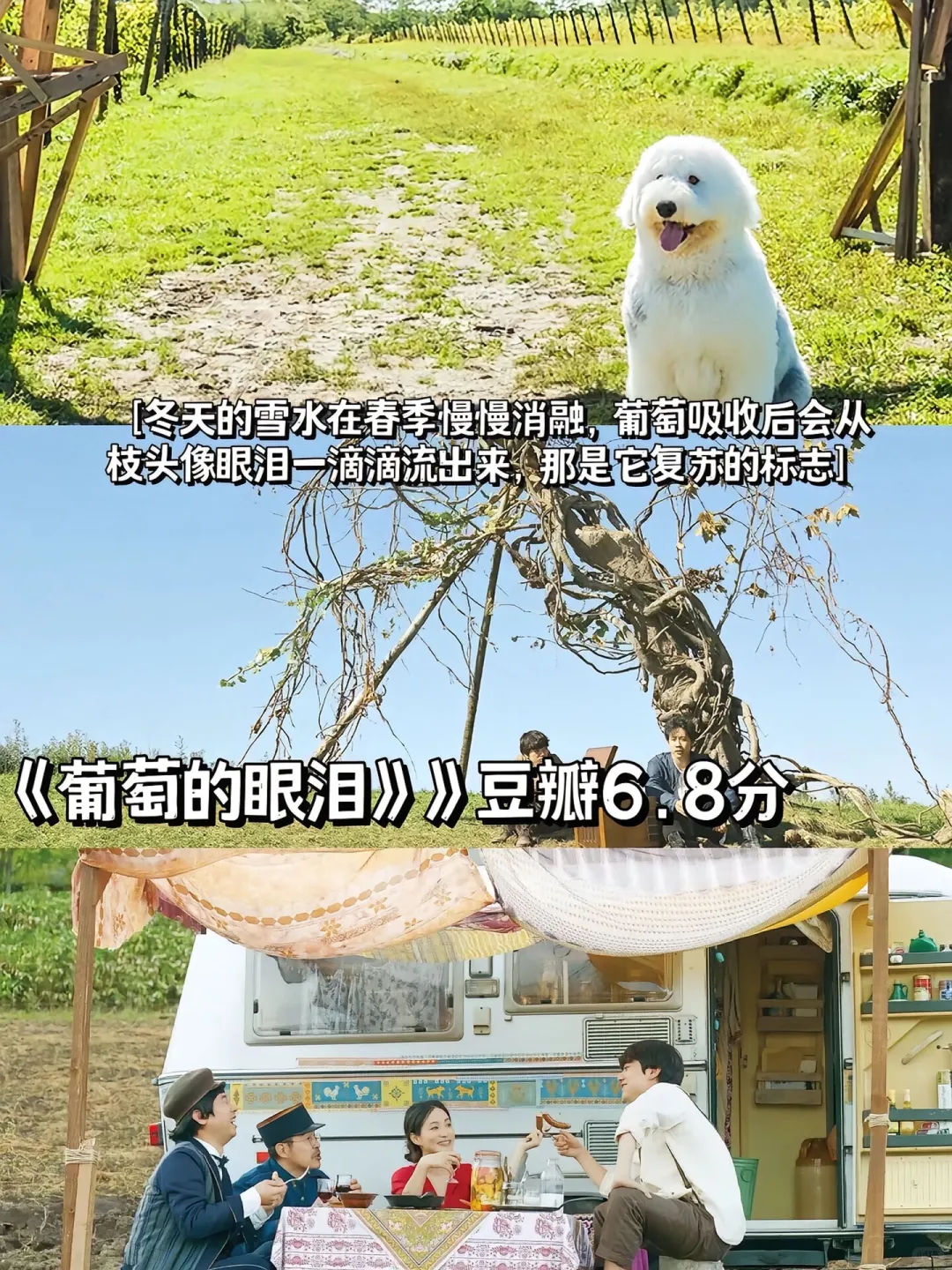 压力大的姐妹们、建议去看这9部电影