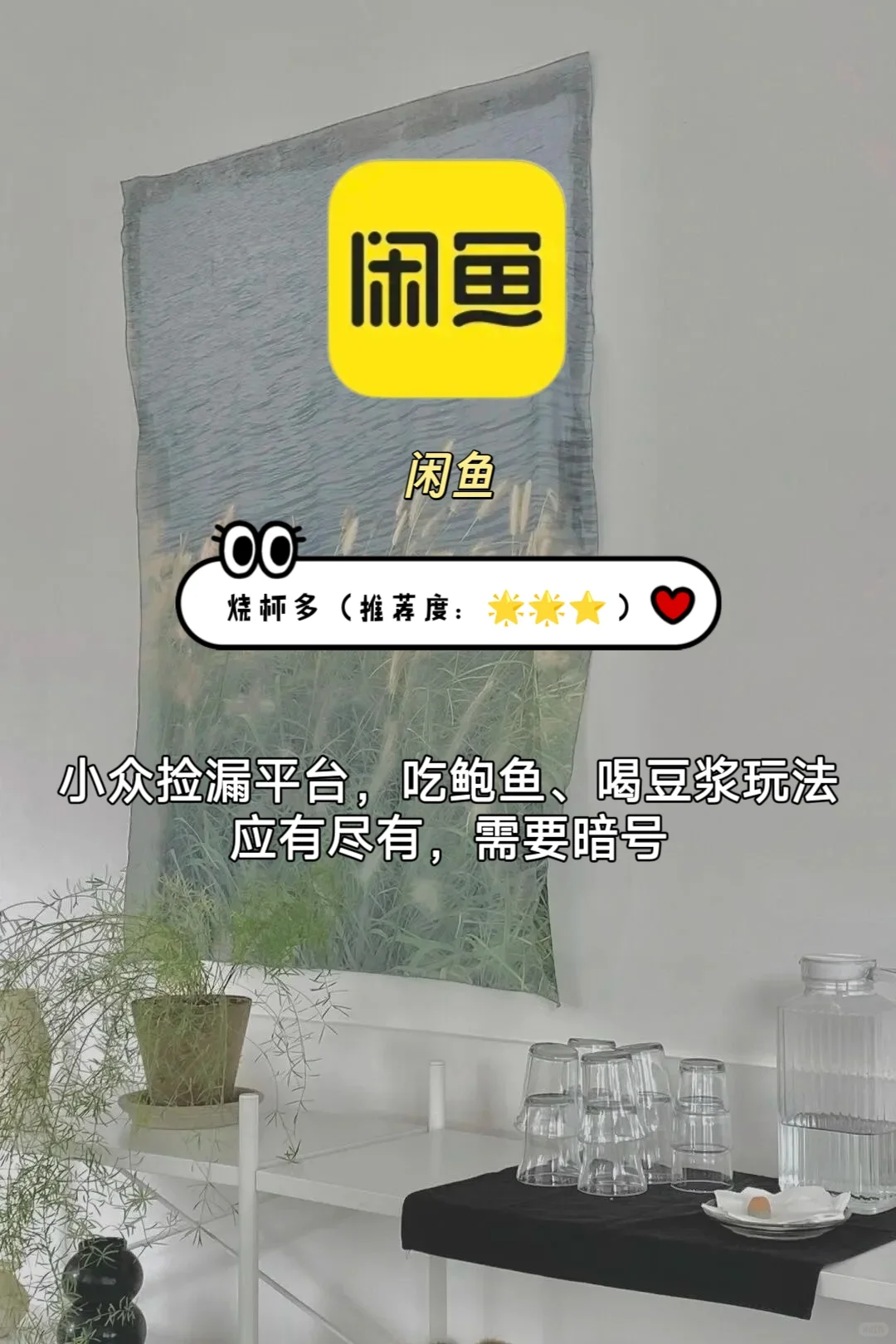 简单分享几款小众很实用社交软件