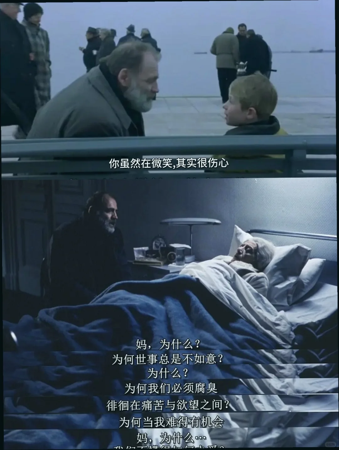 适合夜晚独处的电影推荐｜慢慢看，悄悄流泪