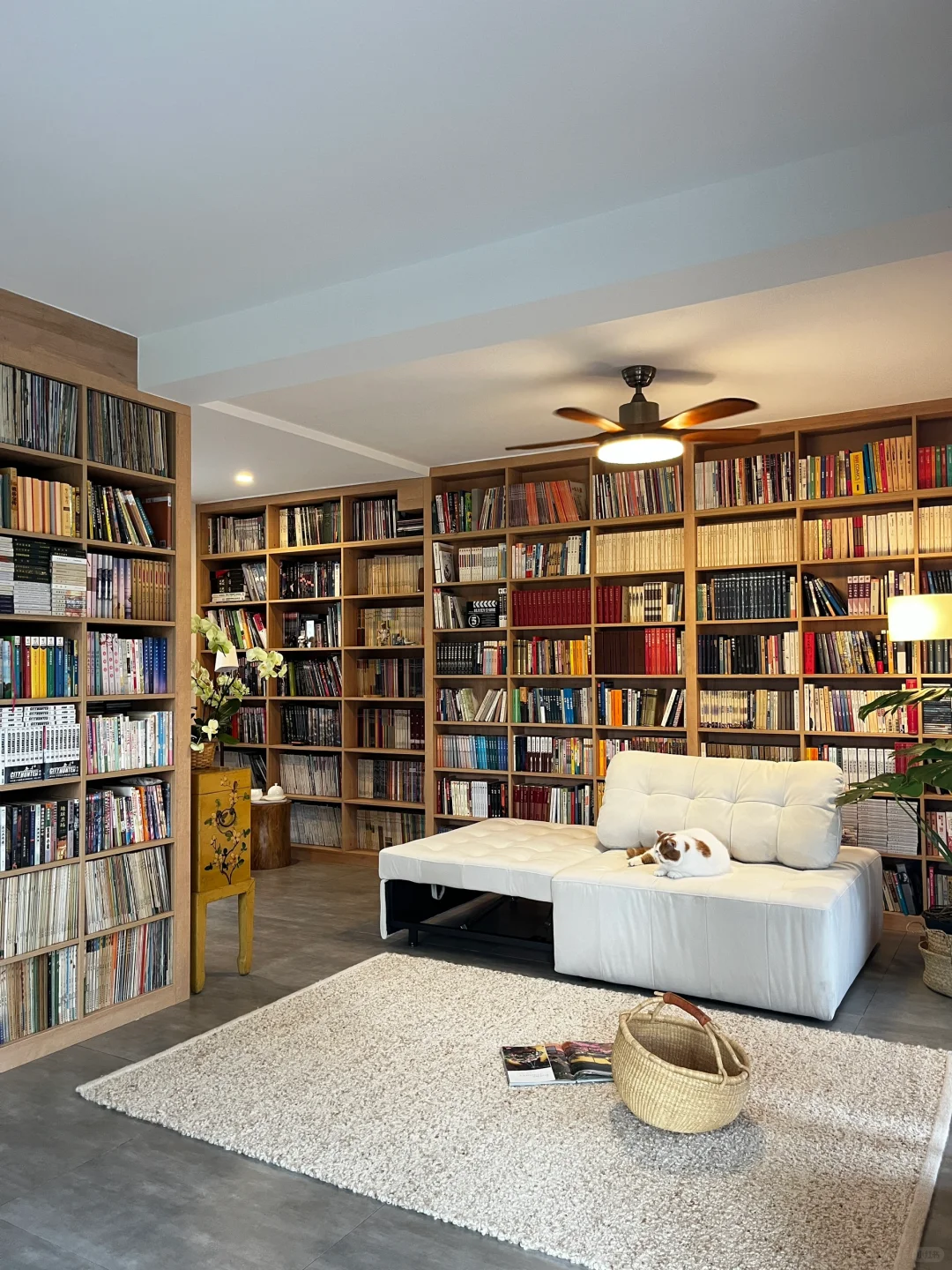 这个书房，让我认识了六万多个新朋友