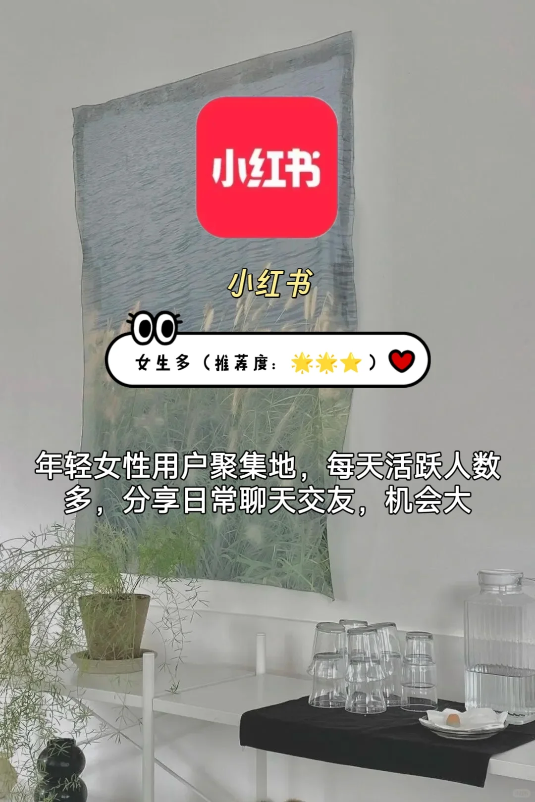 简单分享几款小众很实用社交软件