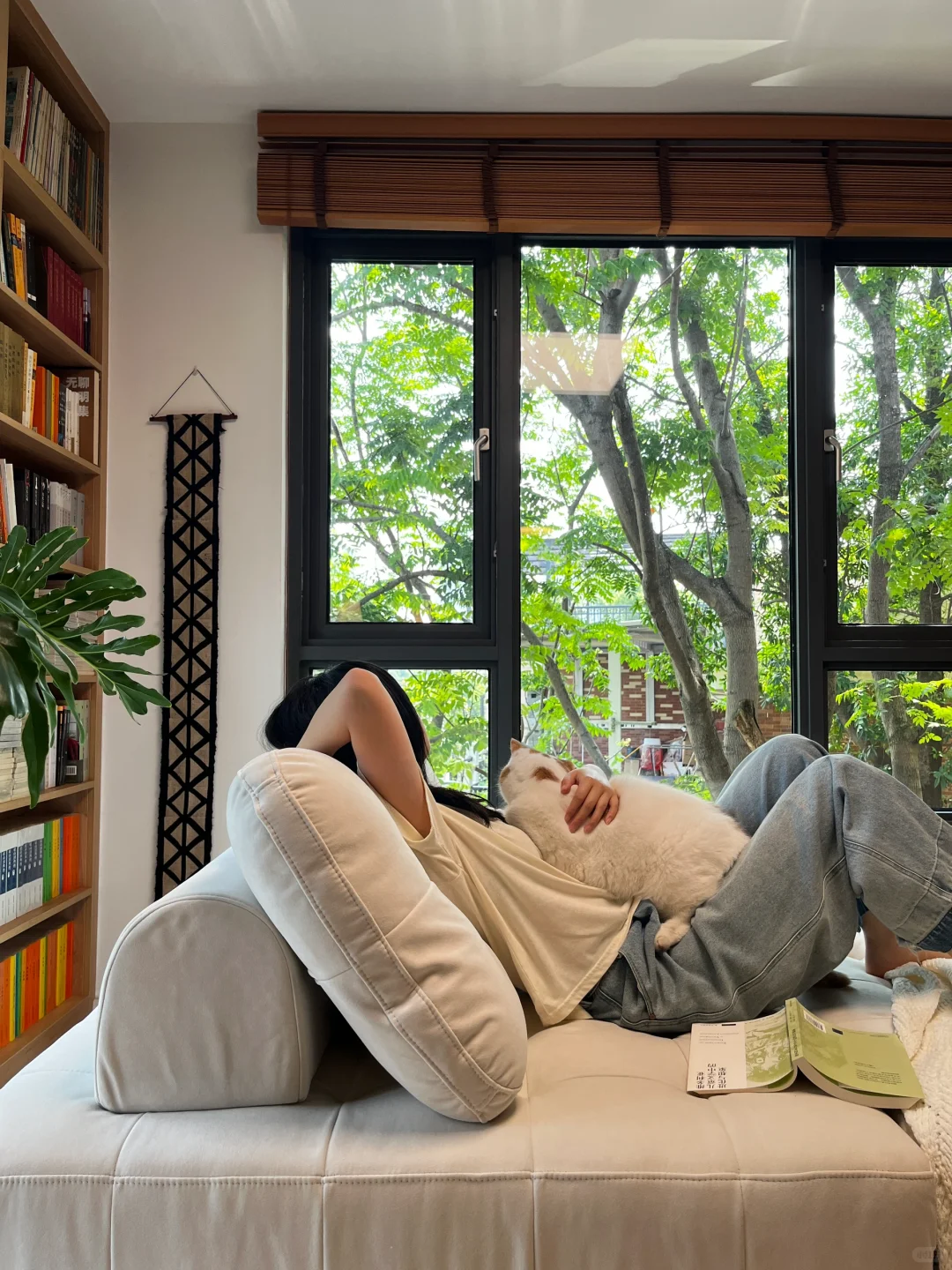 这个书房，让我认识了六万多个新朋友