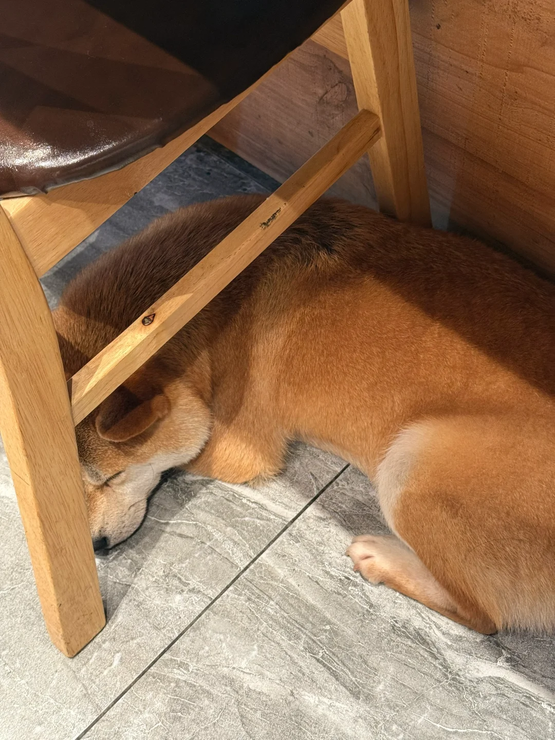 分享一些小幸福💗