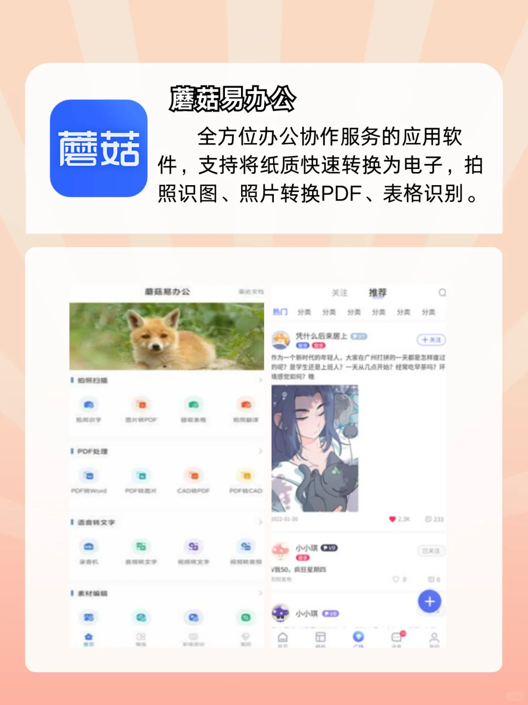 🌟非常赚米 app 大揭秘