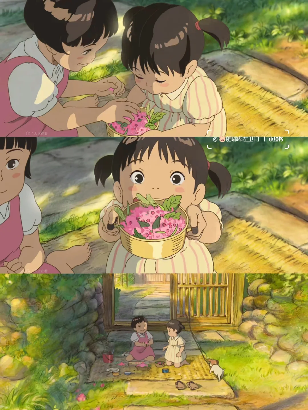 挑战一年365部电影:第1️⃣1️⃣7️⃣部