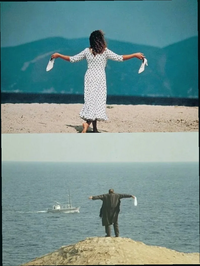 适合夜晚独处的电影推荐｜慢慢看，悄悄流泪