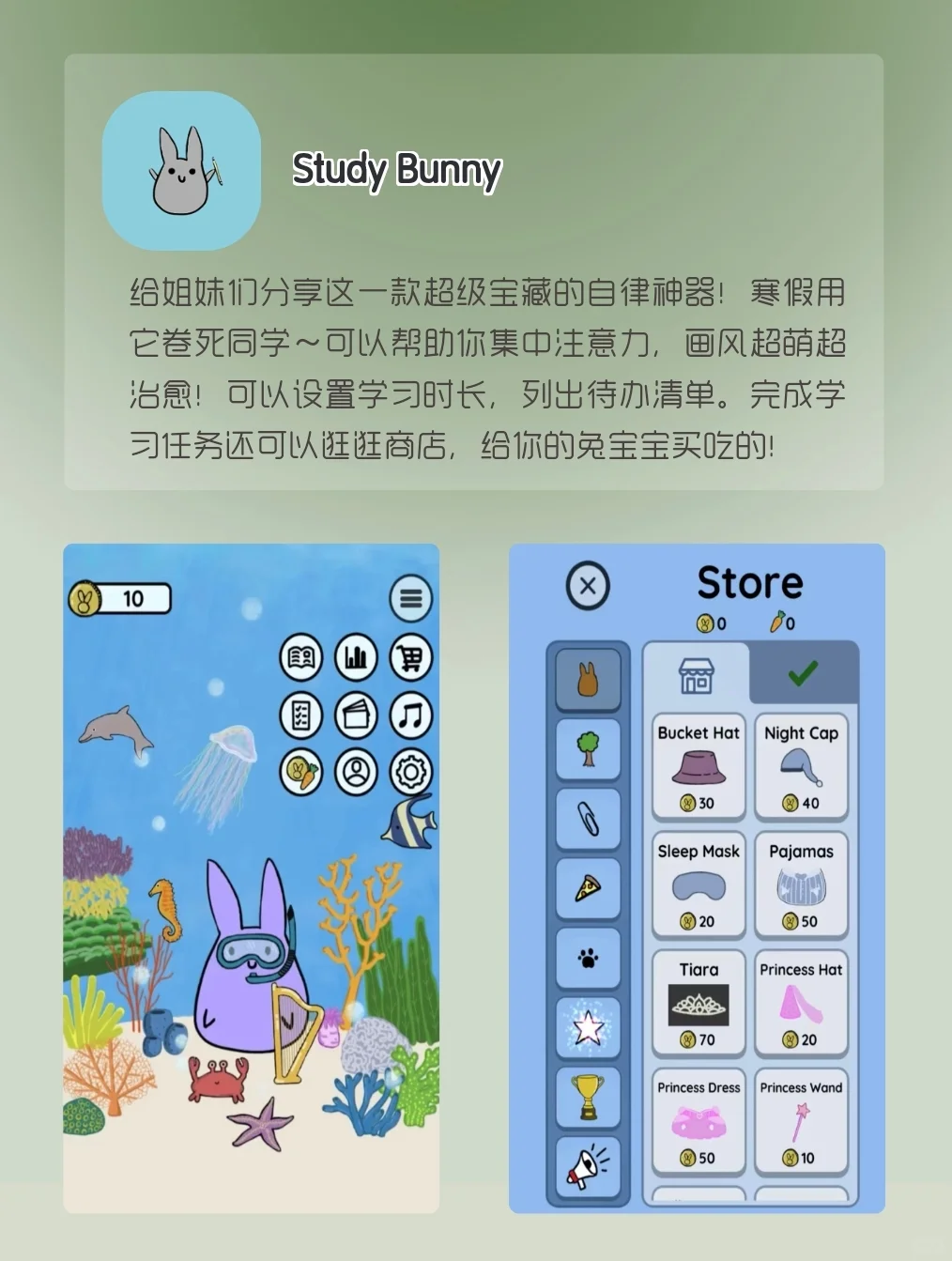 假期自我提升的宝藏APP‼️