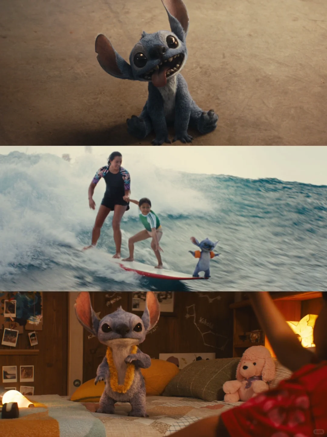 🍿TA们也去看电影啦！蓝色小狗萌翻影院！