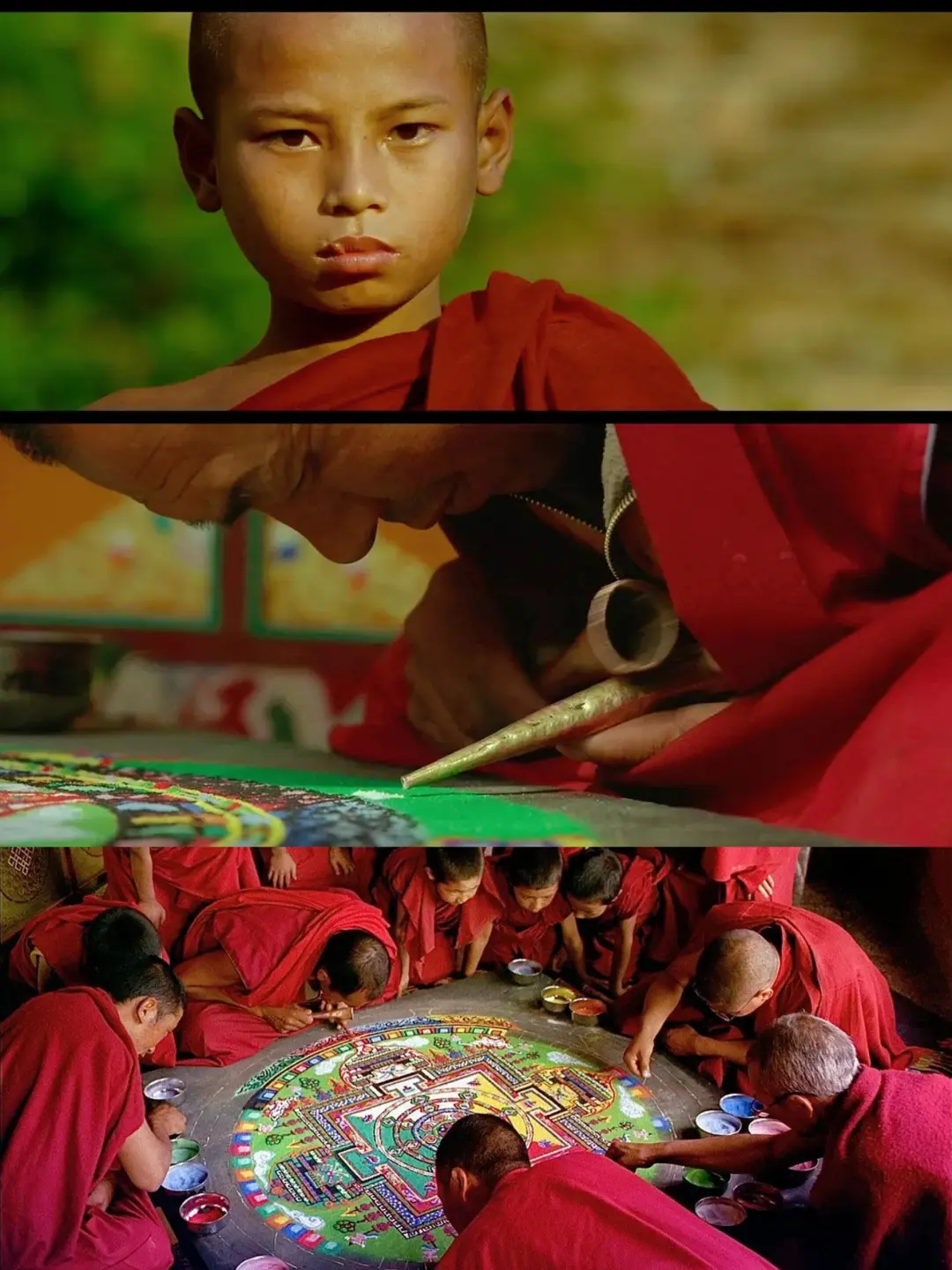 《轮回》是高分神级纪录片❗震撼心灵之作