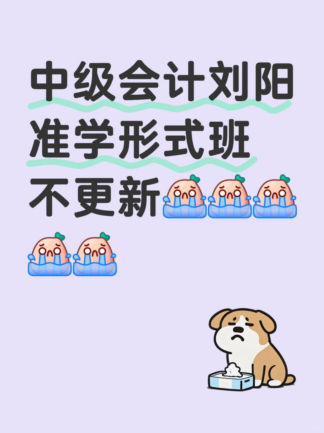 中级会计刘阳准学形式班不更新