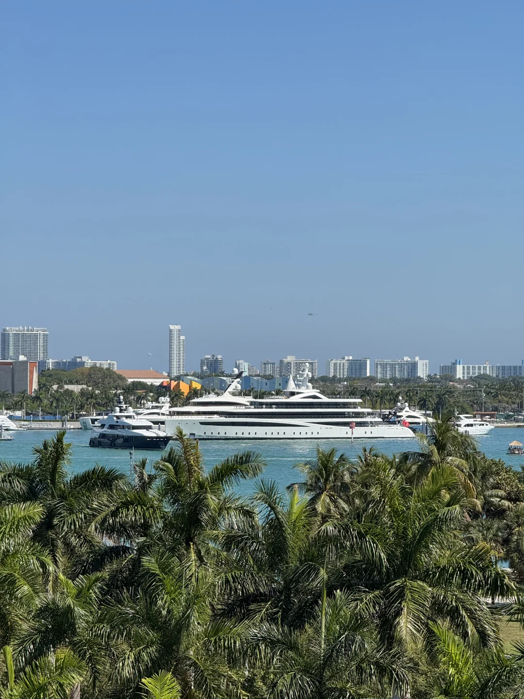 🇺🇸打发无聊美国生活的秘诀是