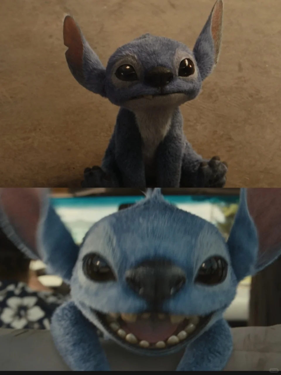 又好笑又治 愈，这才是周末带娃必看的电影