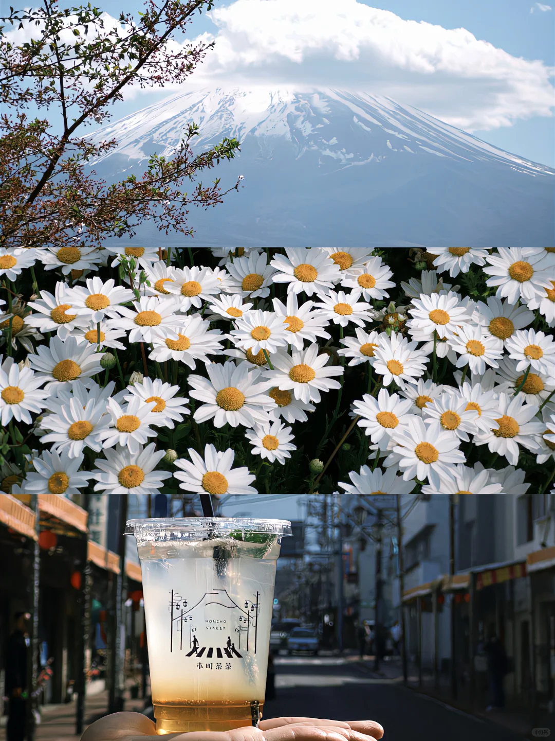 iPhone真的可以很富士....(附教程)