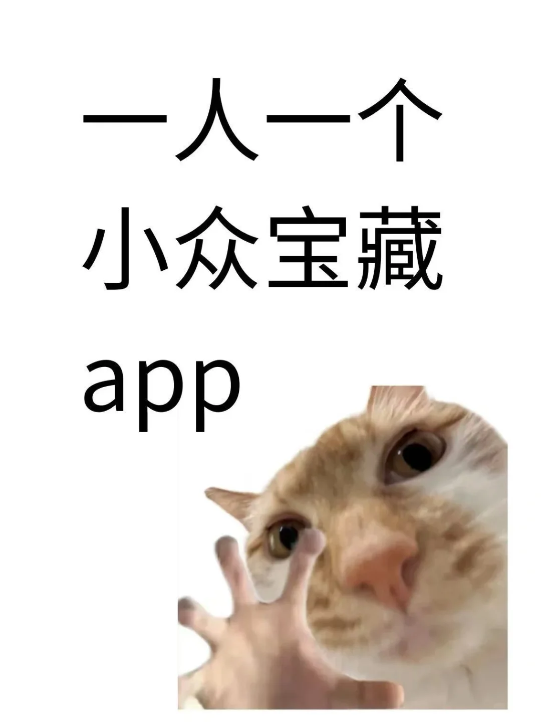 交出你的小众app