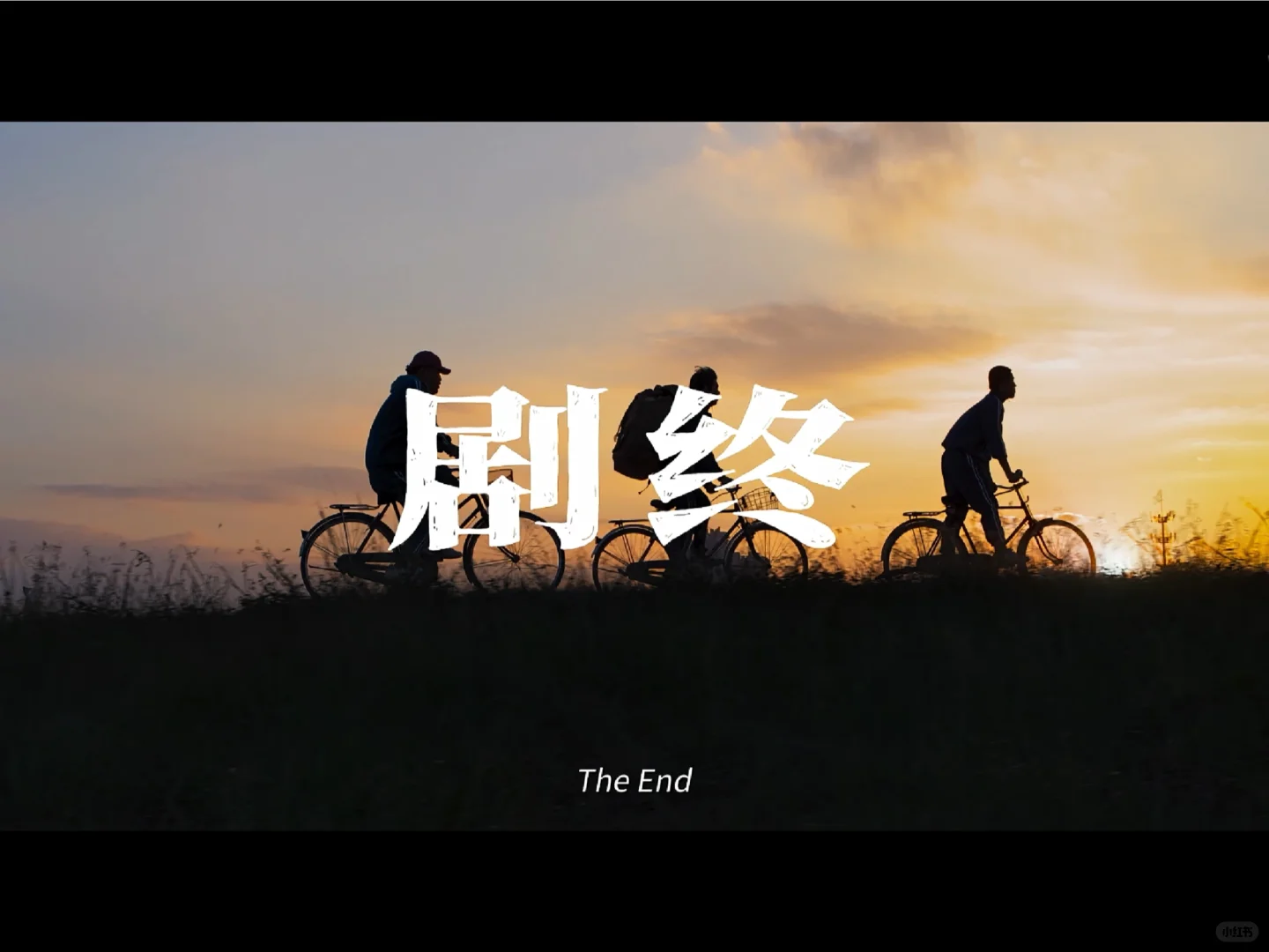 每天分享一部电影-3