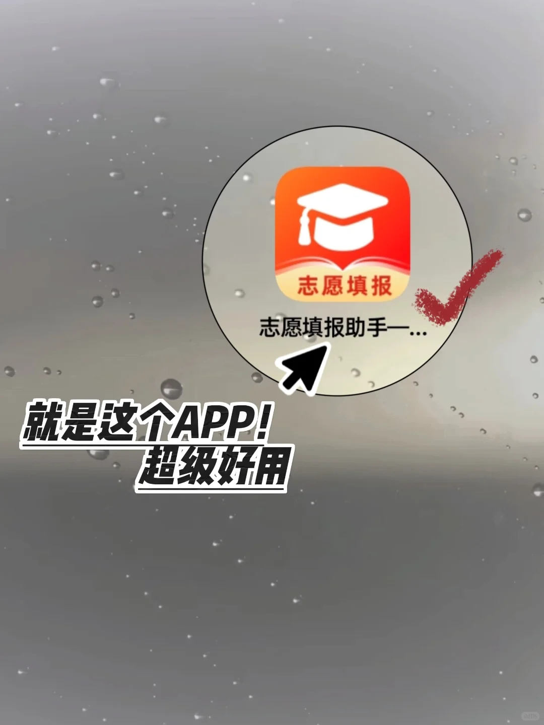要是我当年报志愿用了这个APP就好了...