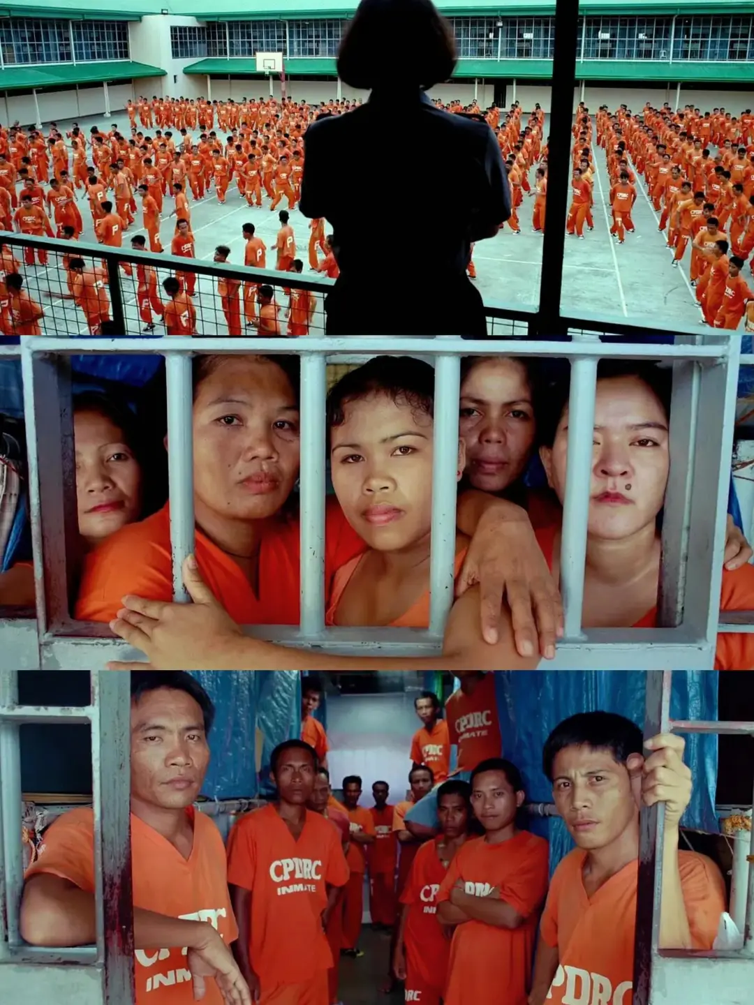 《轮回》是高分神级纪录片❗震撼心灵之作