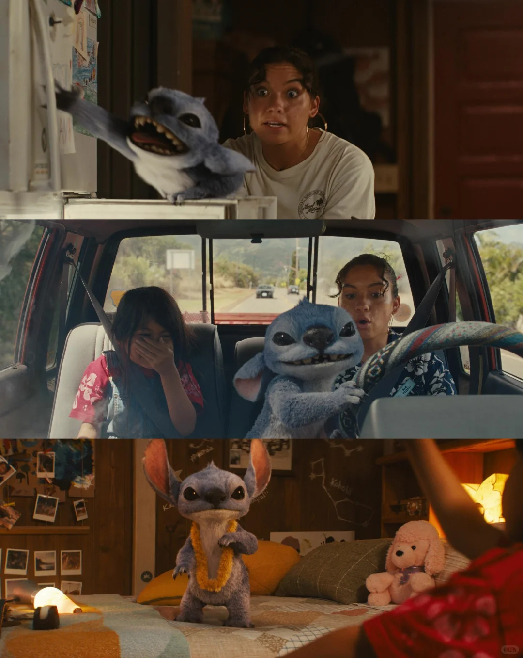 迪士尼都不看好你，偏偏你最争气