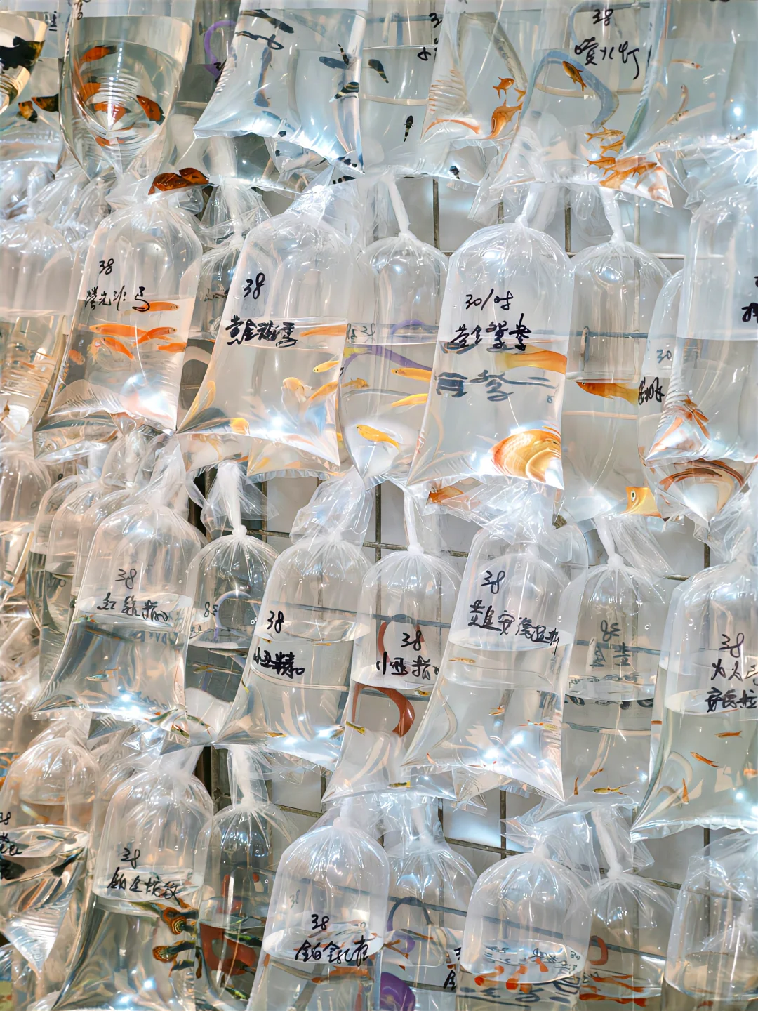 iPhone真的可以很富士....(附教程)