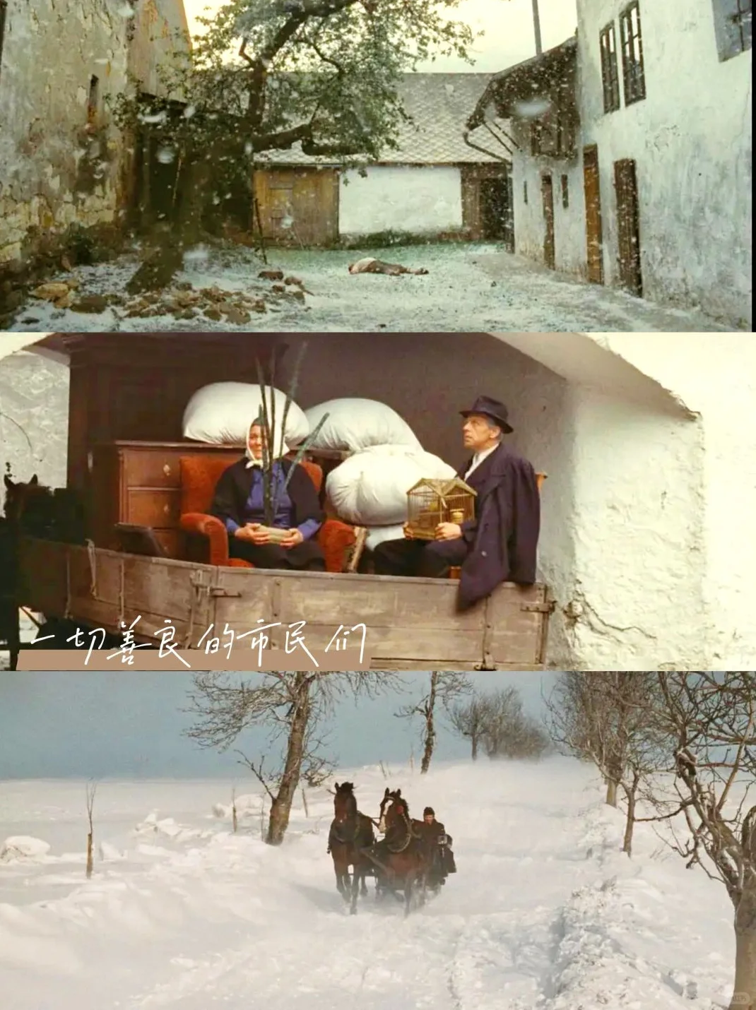 春日治愈🎬被窝里的9部治愈系电影