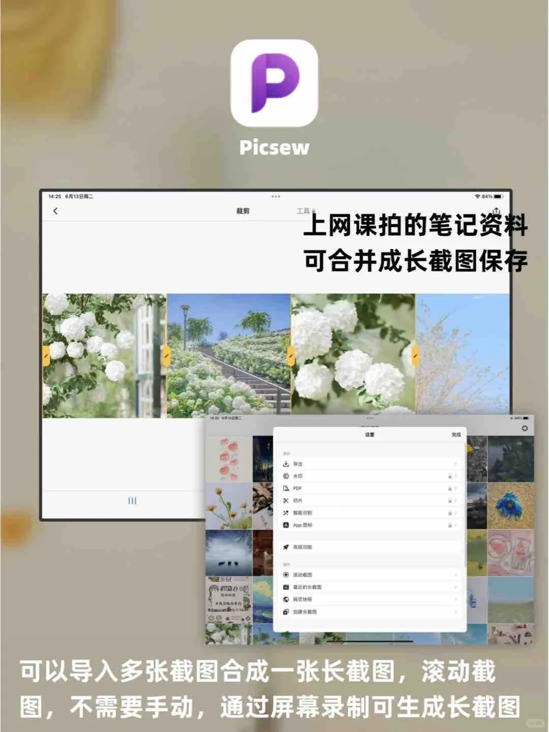 无纸化学习！iPad自用app分享😎