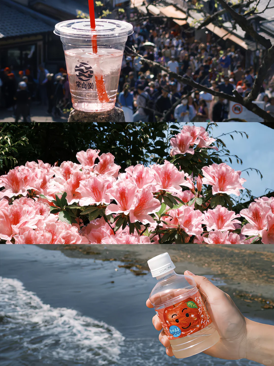 iPhone真的可以很富士....(附教程)