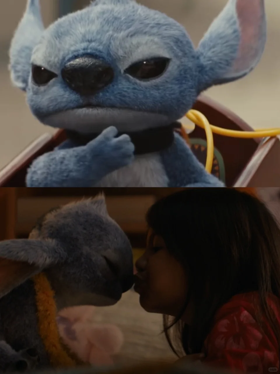 又好笑又治 愈，这才是周末带娃必看的电影