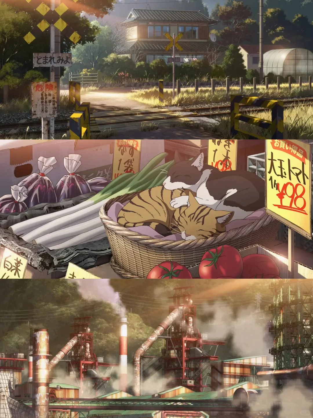 全员疯批🆘画面真的是美绝了‼️