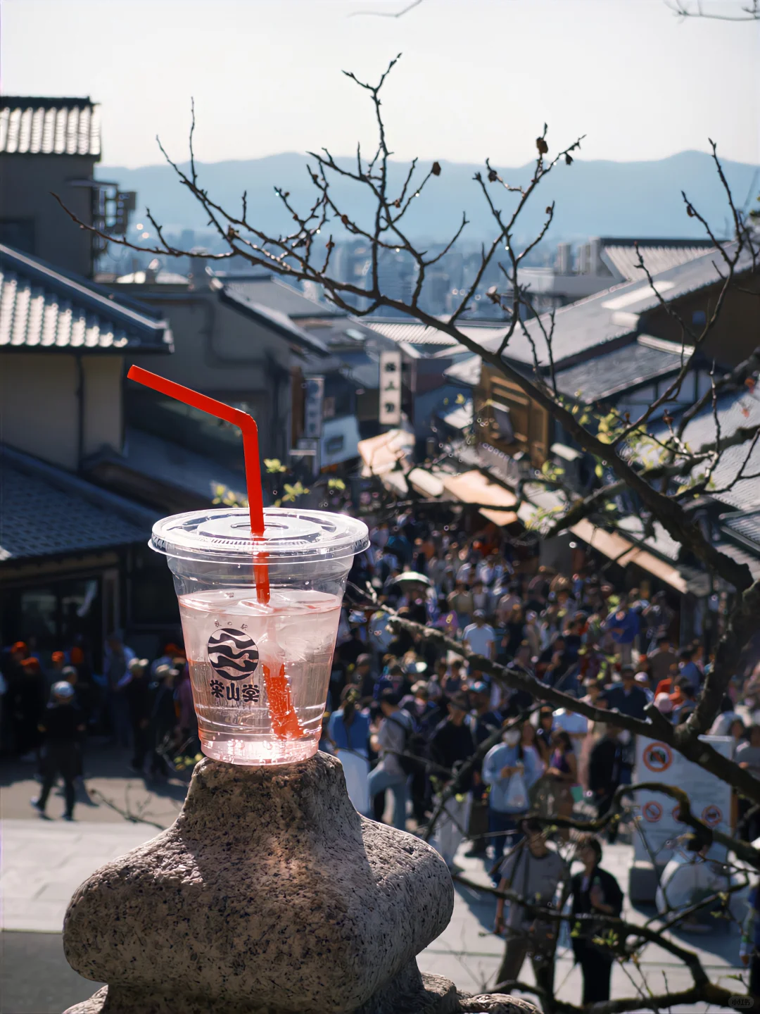 iPhone真的可以很富士....(附教程)