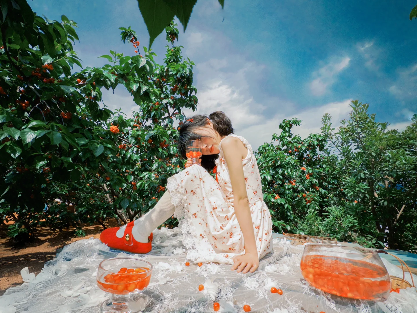 摄影博主绝对不会告诉你的胶片APP平替！